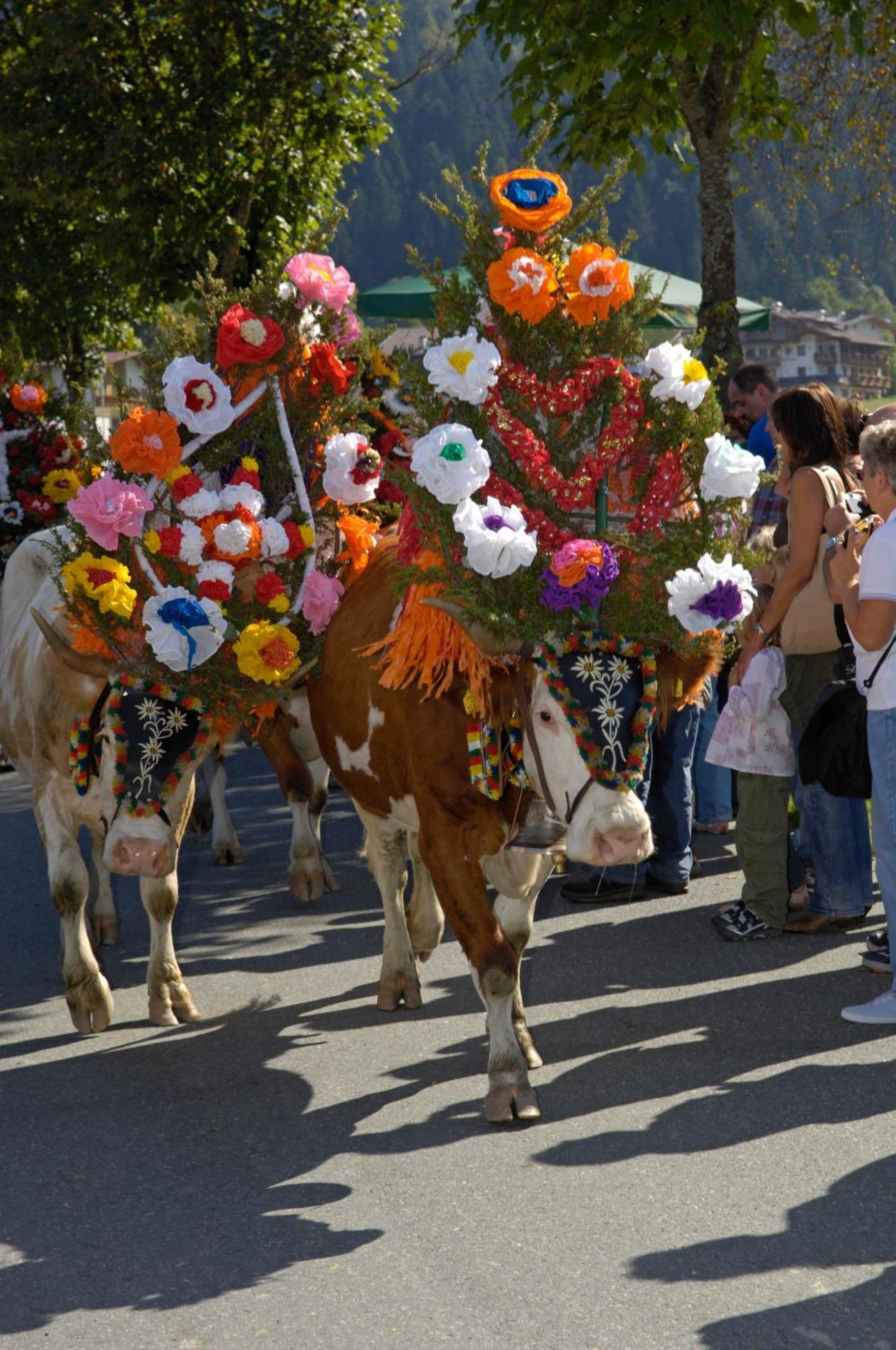 Ferienhotel Tyrol Soell Am Wilden Kaiser エクステリア 写真